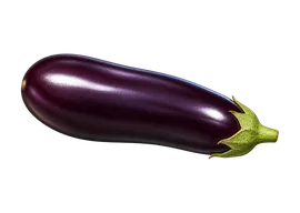 Berenjena más grande del mundo