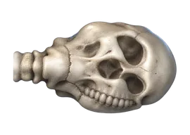 Calavera bañada en cal viva