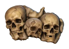 Conglomerado de calaveras