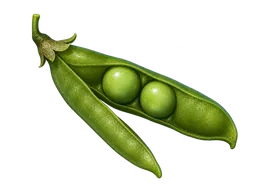 Guisantes asombrosos