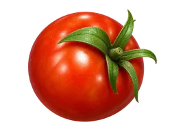 Tomate fresco