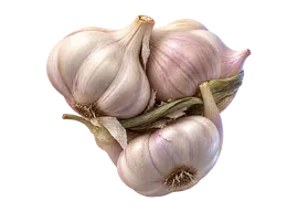 Paquete de ajos