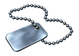 Chapa de élite
