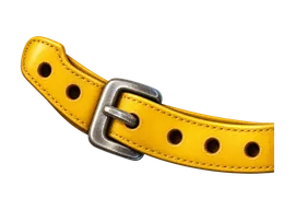 Cinturón de oro
