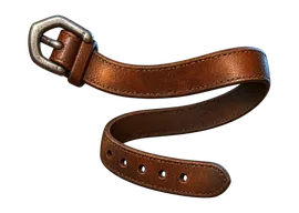 Cinturón de número 1