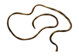 Cordón