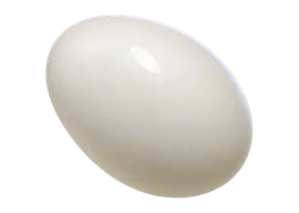 Huevo podrido