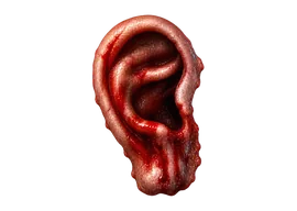 Oreja de radical