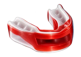 Protector dental
