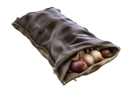 Saco de cebollas