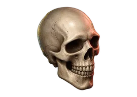 Calavera fresca
