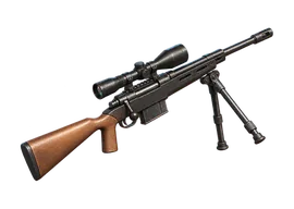 Sniper queen