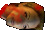Cabeza de tytalus